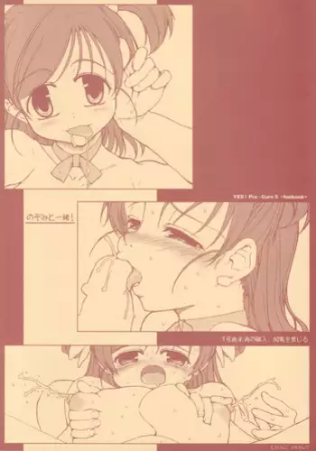 [Tololinco (Tololi)] Nozomi to Issho! | With Nozomi! (Yes! Precure 5) [English] [Fated Circle]