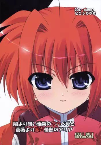 (C72) [Tonarinoyama (Yokoyama Kouji)] Yami yori Kurai Doukoku no A capella to Bara yori Akai Jounetsu no Aria (Mahou Shoujo Lyrical Nanoha)