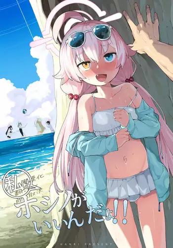 Hoshino ga Iin da yo!!