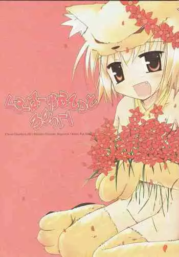 Clover Quartet Lolic!