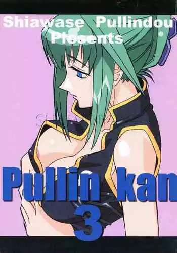 Pullin-kan 3