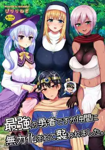 Saikyou no Yuusha desu ga Nakama ni Muryokuka sarete Osowaremashita