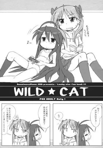 (Puniket 15) [Kanmidokoro USB (Furiri)] WILD CAT (Lucky Star)