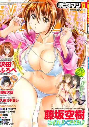 Monthly Vitaman 2013-08