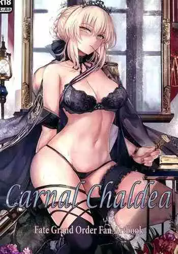 (C95) [Amakaya (Misaka12003)] Carnal Chaldea (Fate/Grand Order) [English]