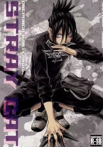 (C86) [LITHIUM (Yukimaru)] stray cat (One Punch Man)