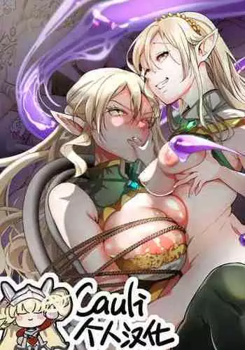 Touzoku, Elf o Nusumu