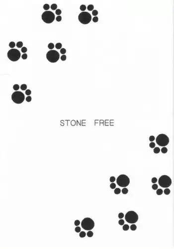 (CR33) [BLACK DOG (Kuroinu Juu)] Stone Free (Jarinko Chie)