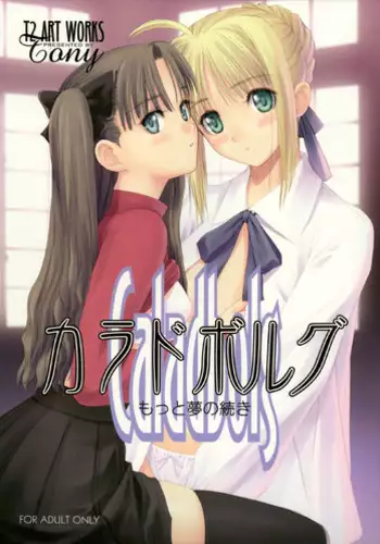 (C66) [T2 ART WORKS (Tony Taka)] Caladbolg Motto Yume no Tsuduki (Fate/stay night) [English]