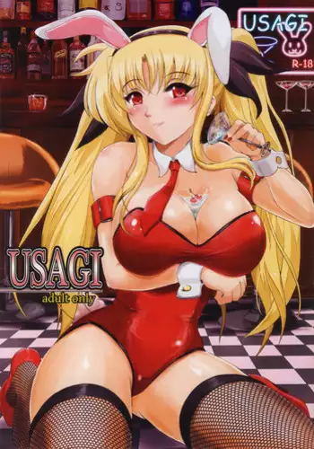 [Shouchuu MAC (Hozumi Kenji)] USAGI (Mahou Shoujo Lyrical Nanoha) [English] [Tigoris Translates]